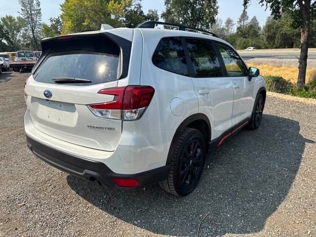 Car Picture